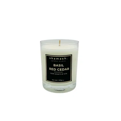 Shamash Candle Studio Neutrals Basil & Red Cedar Pure Collection Candle In White