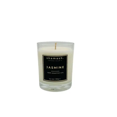 Shamash Candle Studio Neutrals Jasmine Pure Collection Candle In White