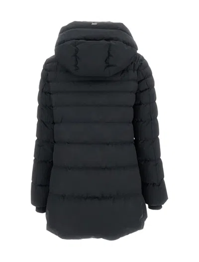 Herno Detachable-hood Padded Coat In Black