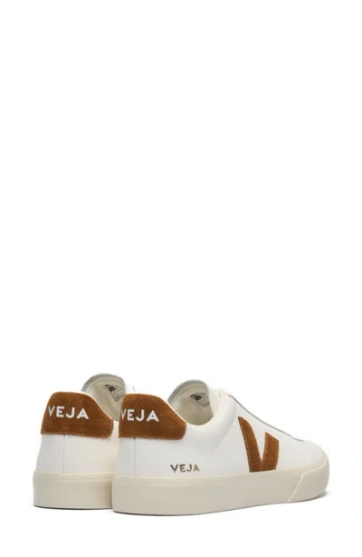 Veja Low-top Sneakers Field In White
