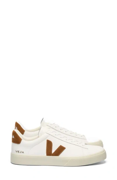 Veja Low-top Sneakers Field In White