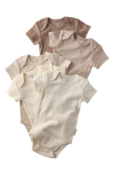Butterblu Avery Assorted 5-pack Bodysuits In Brown