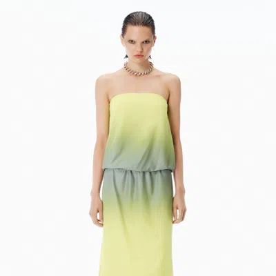 Alexander Wang Reflective Strapless Bubble  Top In Multi
