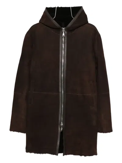 Tagliatore Hooded Zip-up Coat In Brown