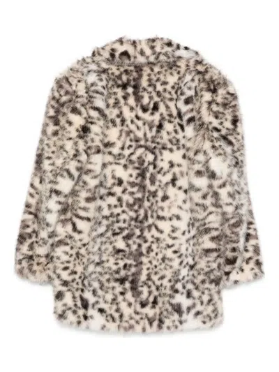 The Andamane Animal-print Coat In Multi