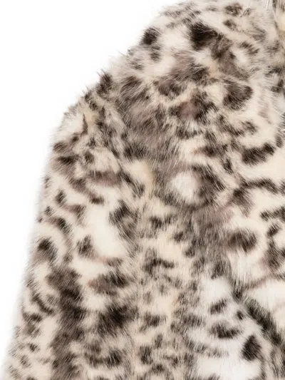 The Andamane Animal-print Coat In Multi