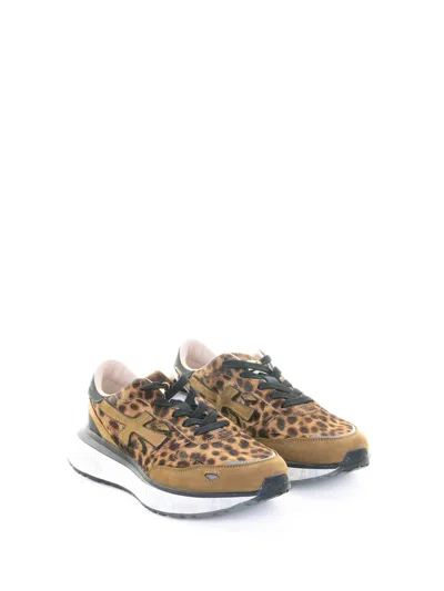 Premiata Zapatillas - Multicolor In Animal Print