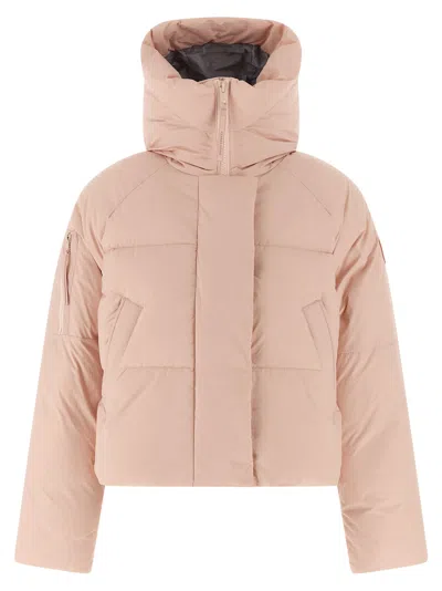 Canada Goose Cropped Puffer Jacket With High Collar In Brown