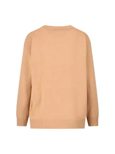 Max Mara Fido Wool And Cashmere Jumper In Brown