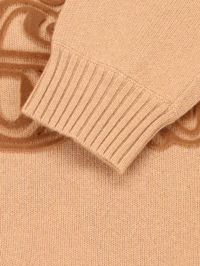 Max Mara Fido Wool And Cashmere Jumper In Brown