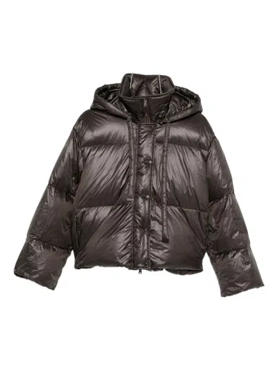 Antonelli Cropped Brown Puffer Jacket With High Collar In Brown
