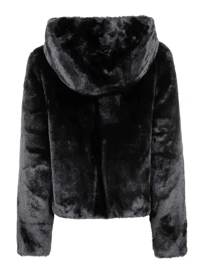 Colmar Originals Abrigo Alcochado - Negro In Black