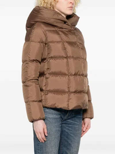 Peuterey Cropped Brown Quilted Coat With High Collar And Spacious Hood In Brown