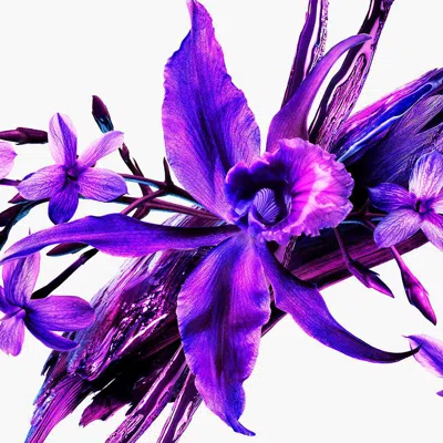 Mugler Alien Extraintense Eau De Parfum Gift Set 2-piece Floral And Woody Set