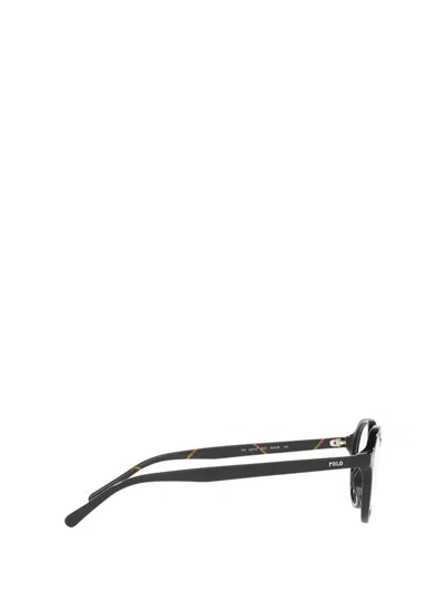 Polo Ralph Lauren Eyeglasses In Multi