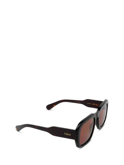 Chloé Sunglasses In Multi