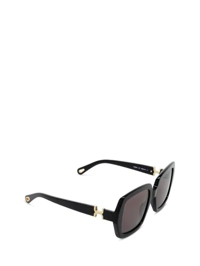 Chloé Womens Black Ch0301s Square-frame Acetate Sunglasses In Multi