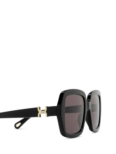 Chloé Womens Black Ch0301s Square-frame Acetate Sunglasses In Multi