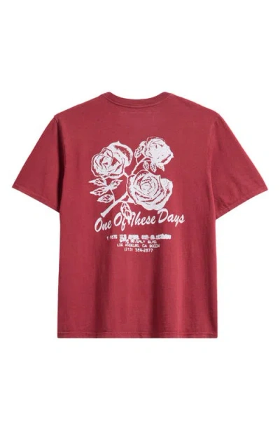 One Of These Days Sweet Jane Graphic T-shirt In Red