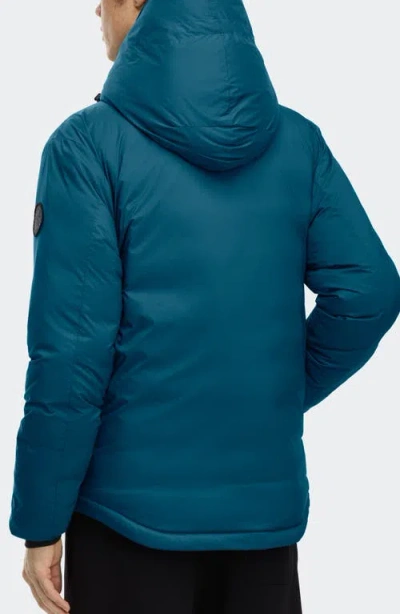 Canada Goose Piumino Lodge In Poliestere Ottanio Uomo In Blue