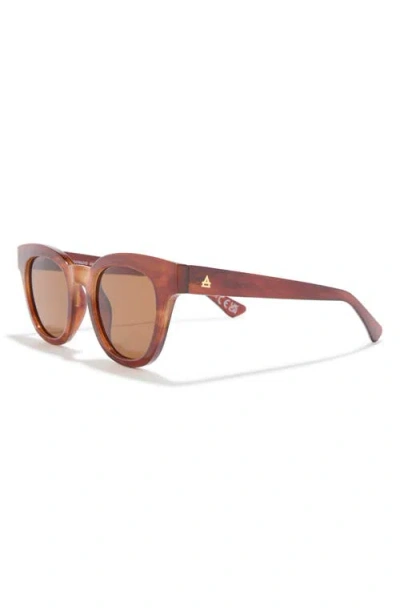 Aire 50mm Dorado D-frame Sunglasses In Brown