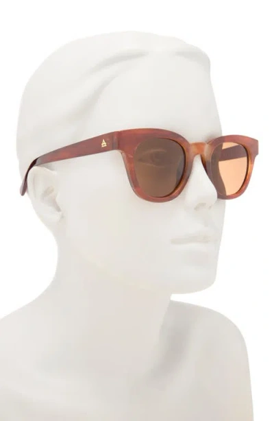 Aire 50mm Dorado D-frame Sunglasses In Brown
