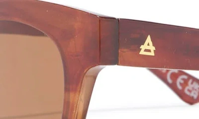 Aire 50mm Dorado D-frame Sunglasses In Brown