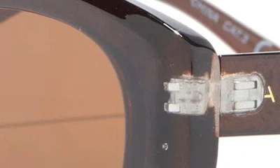 Aire Affinity 52mm Oval Sunglasses In Brown