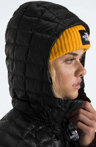 The North Face Women's Thermoball Hooded Parka Jacket In Black