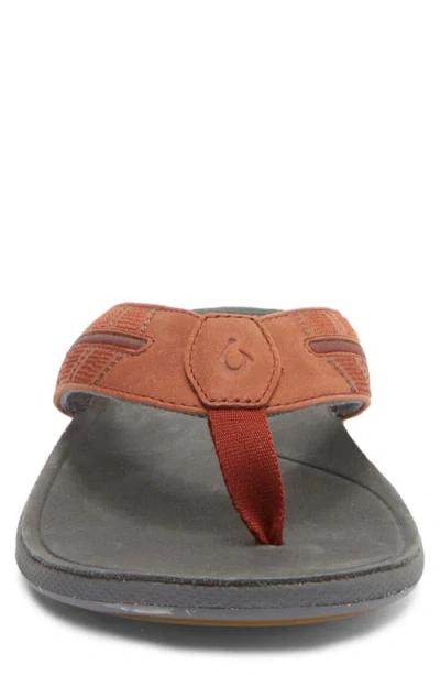 Olukai Tuahine Waterproof Flip Flop In Multi