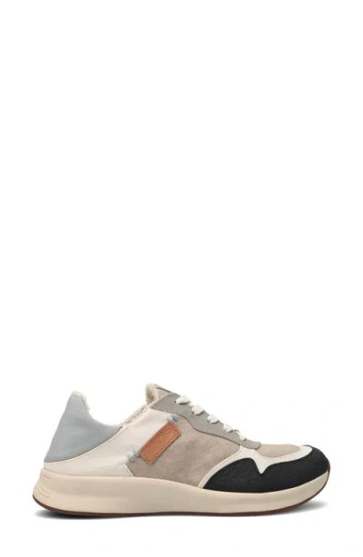 Taos Direction Sneaker In Multi