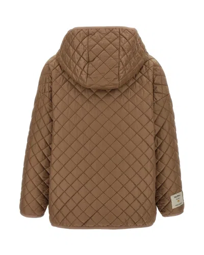 Max Mara The Cube Leo Honey Jacket In Brown