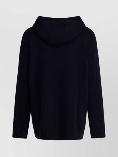 Max Mara Wool And Cashmere Hooded Sweater In Blue
