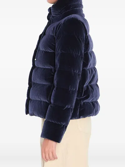 Herno Women Cotton Chenille-effect Down Jacket In Blue