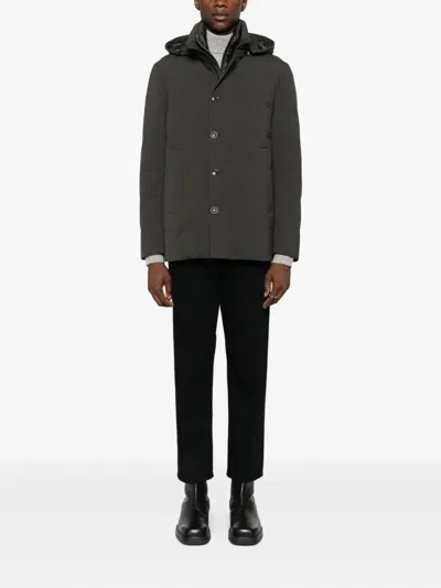 Montecore Hooded Jacket In Green