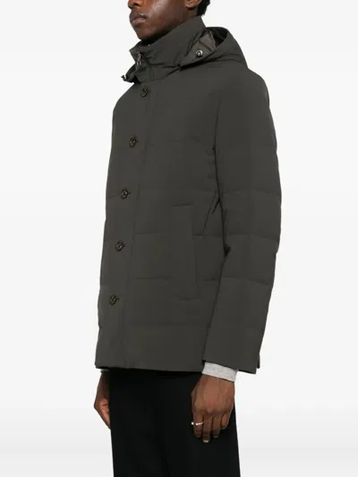 Montecore Hooded Jacket In Green