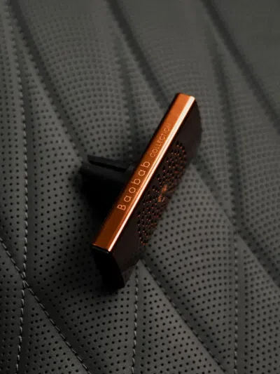 Baobab Perforated Car Diffuser In Orange
