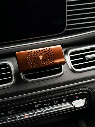 Baobab Perforated Car Diffuser In Orange