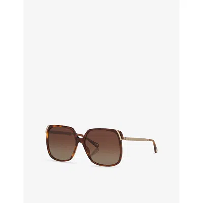 Chloé Womens Ch0286s Square-frame Acetate Sunglasses Brown In Brown