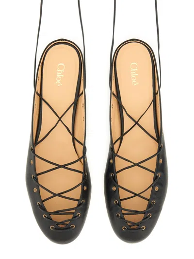 Chloé Ghillies Leather Ballerina Flat In Black