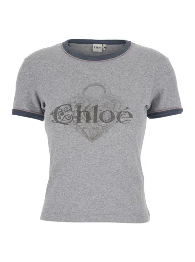 Chloé Baby Fit T-shirt With Logo In Cotton Jersey In Gray