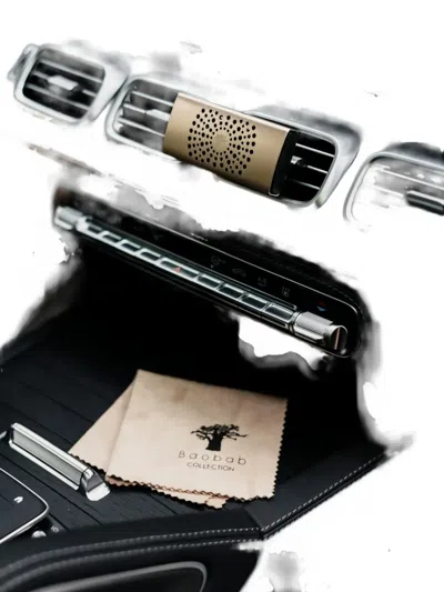 Baobab Perforated Car Diffuser In Gold