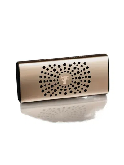 Baobab Perforated Car Diffuser In Gold