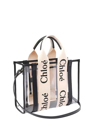 Chloé Handbag With 2 Handles And Removable Strap In Multi