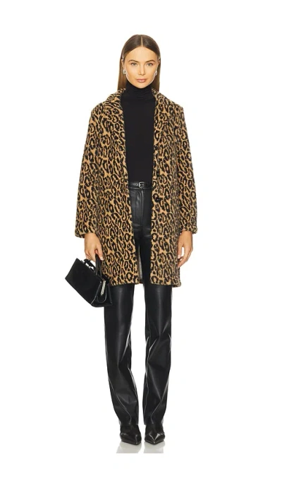 Sanctuary Hometown Jacket In Multi