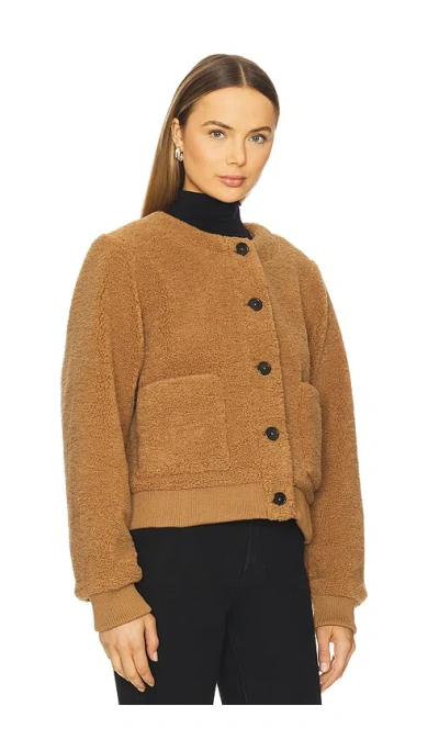 Sanctuary Teddy Cardigan In Multi