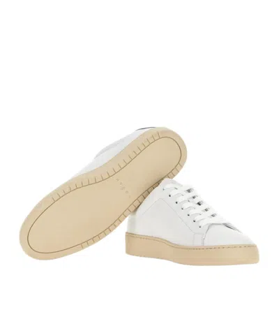 Hogan Sneakers  H672 In Multi