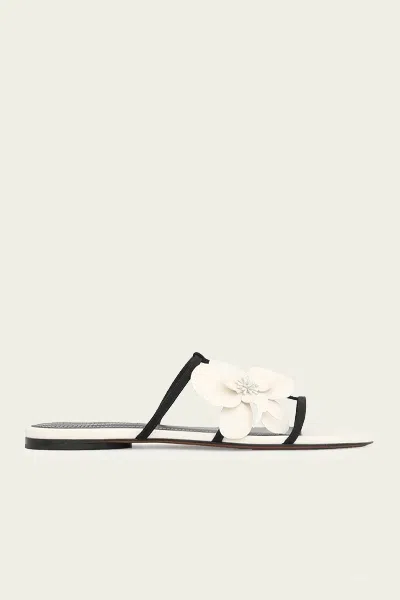 Zimmermann Orchid Slide In Macadamia In White