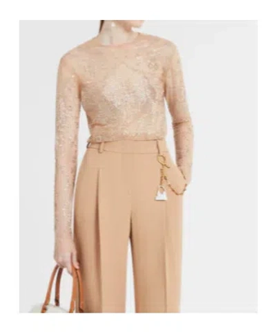 Ermanno Scervino Tulle Top With All-over Crystal Embroidery In Brown