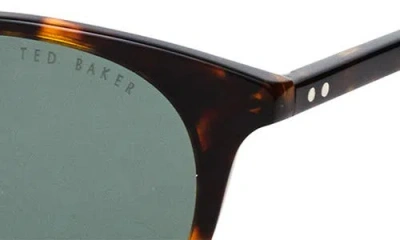 Ted Baker London 51mm Polarized Round Sunglasses In Green